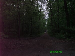 PICT0005.JPG