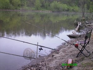 PICT0013.JPG