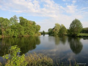 IMG_2469.JPG