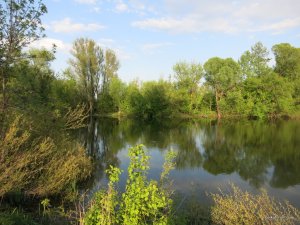 IMG_2470.JPG