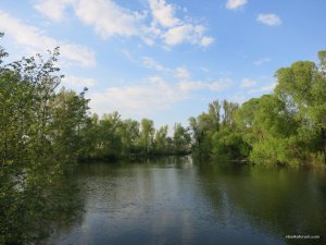 IMG_2472.JPG