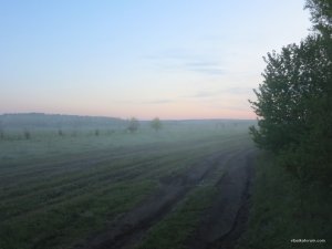 IMG_2484.JPG