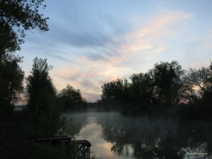 IMG_2487.JPG