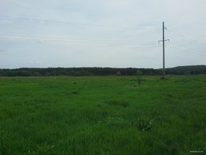 20150511_141523.jpg