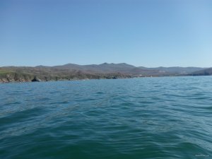 IMG_20150510_100041.jpg