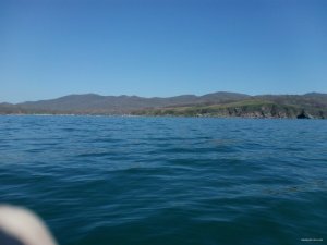 IMG_20150510_100047.jpg
