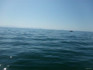IMG_20150510_100054.jpg