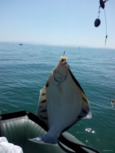 IMG_20150510_111738.jpg