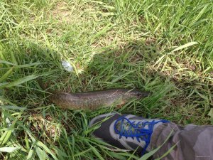 IMG_3650.JPG