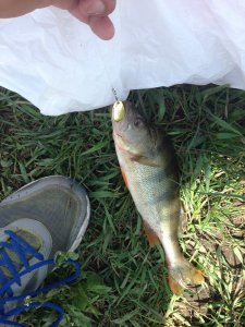 IMG_3651.JPG