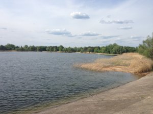 IMG_3652.JPG