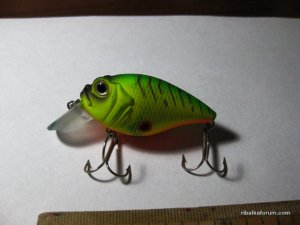 IMG_0028.JPG