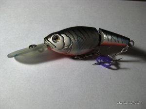 IMG_0020.JPG