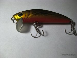 IMG_0023.JPG