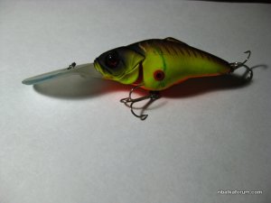 IMG_0021.JPG