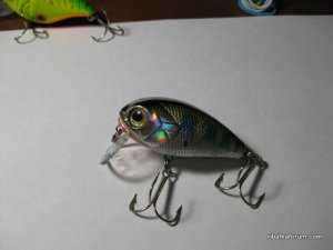 IMG_0029.JPG