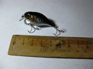 IMG_0025.JPG