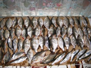 IMG_0018.JPG