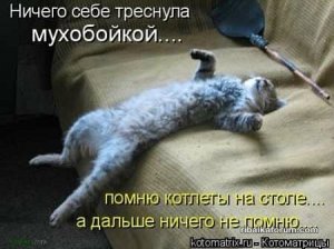 x_85a2ae6b.jpg