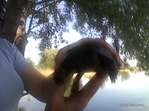 IMG_20150522_092154.jpg