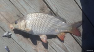 20150522_092333.jpg