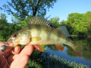 IMG_2501.JPG