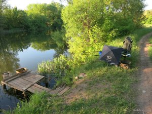 IMG_2613.JPG