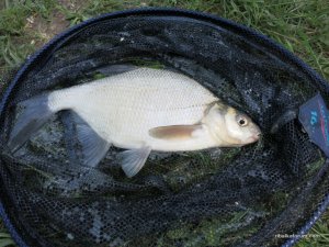 IMG_2630.JPG