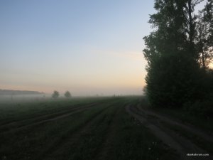IMG_2638.JPG