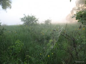 IMG_2660.JPG