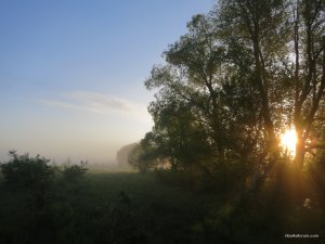 IMG_2665.JPG