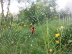 IMG_2680.JPG