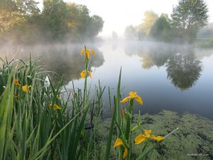 IMG_2684.JPG