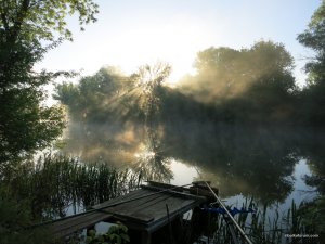 IMG_2687.JPG