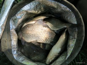 IMG_2697.JPG