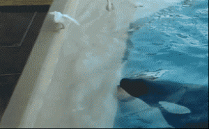 doc2000012909_387041736.gif