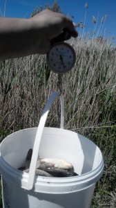 2015523141503.jpg
