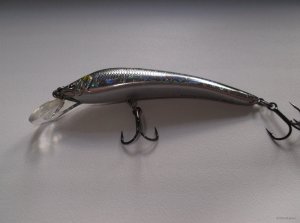 DSCF1679.JPG