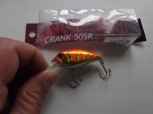 DSCF2759.JPG