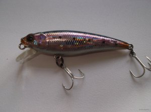 DSCF1798.JPG