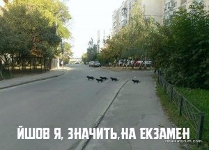 1SsSc50rPnE.jpg