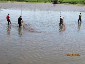 IMG_4336.JPG