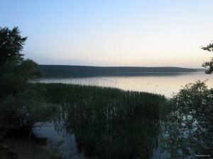 IMG_2711.JPG