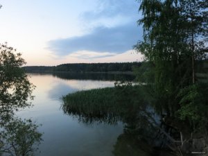 IMG_2713.JPG