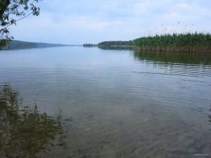 IMG_2726.JPG
