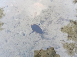 IMG_2727.JPG