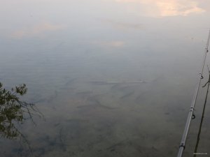 IMG_2745.JPG