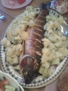 2015-05-27 20.32.34.jpg