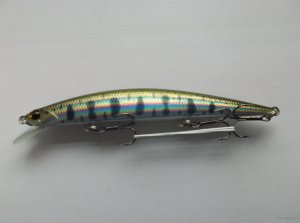 DSCF3877.JPG