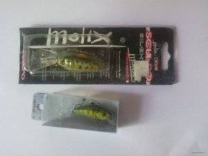 IMG_20150528_105106.jpg